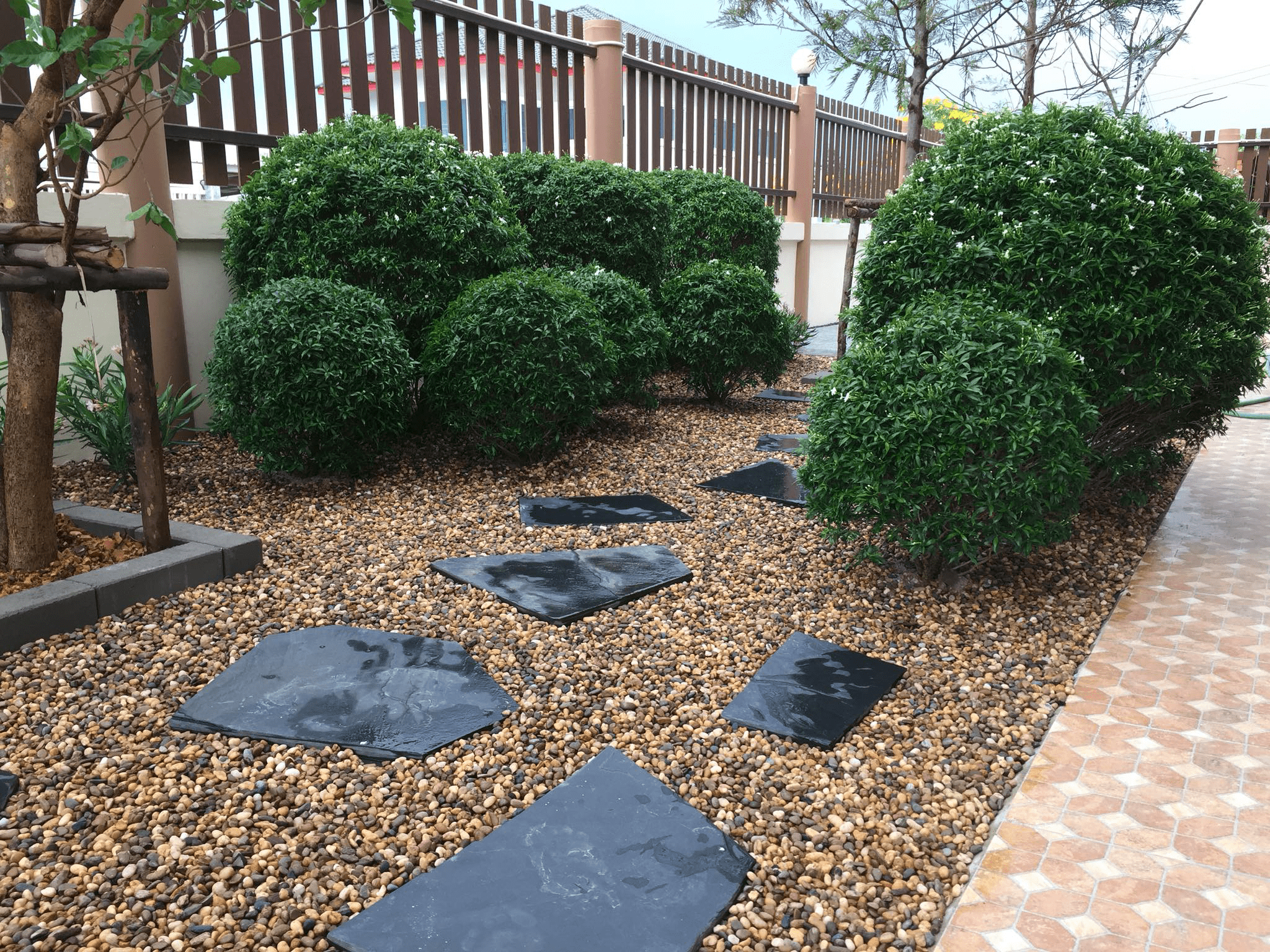 พันธุ์ไม้ตกแต่งสวนญี่ปุ่น