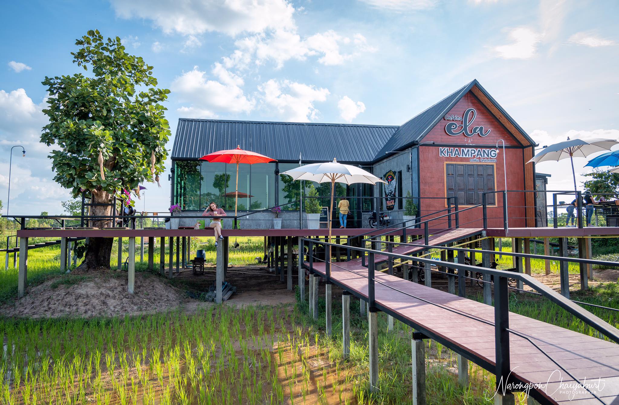 รับออกแบบร้านคาเฟ่ วิวภูเขา กลางทุ่งนา