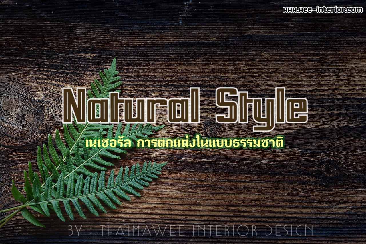 สไตล์เนเชอรัล(Natural Style)