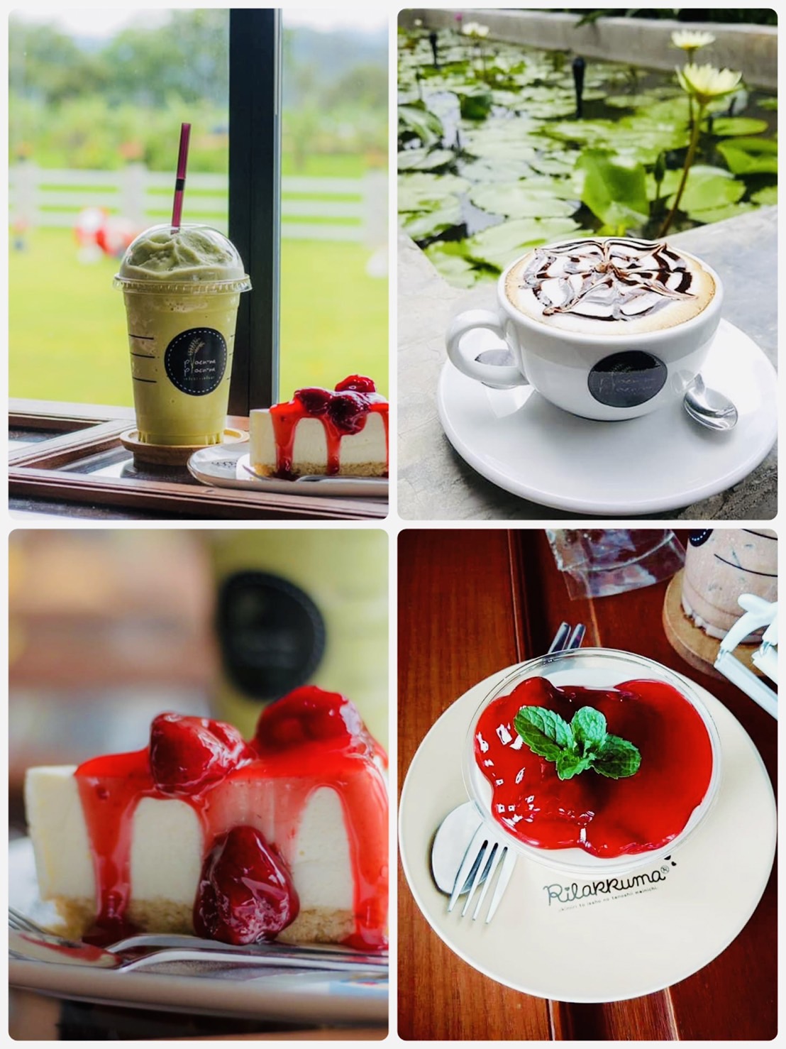 ออกแบบคาเฟ่ทุ่งนา