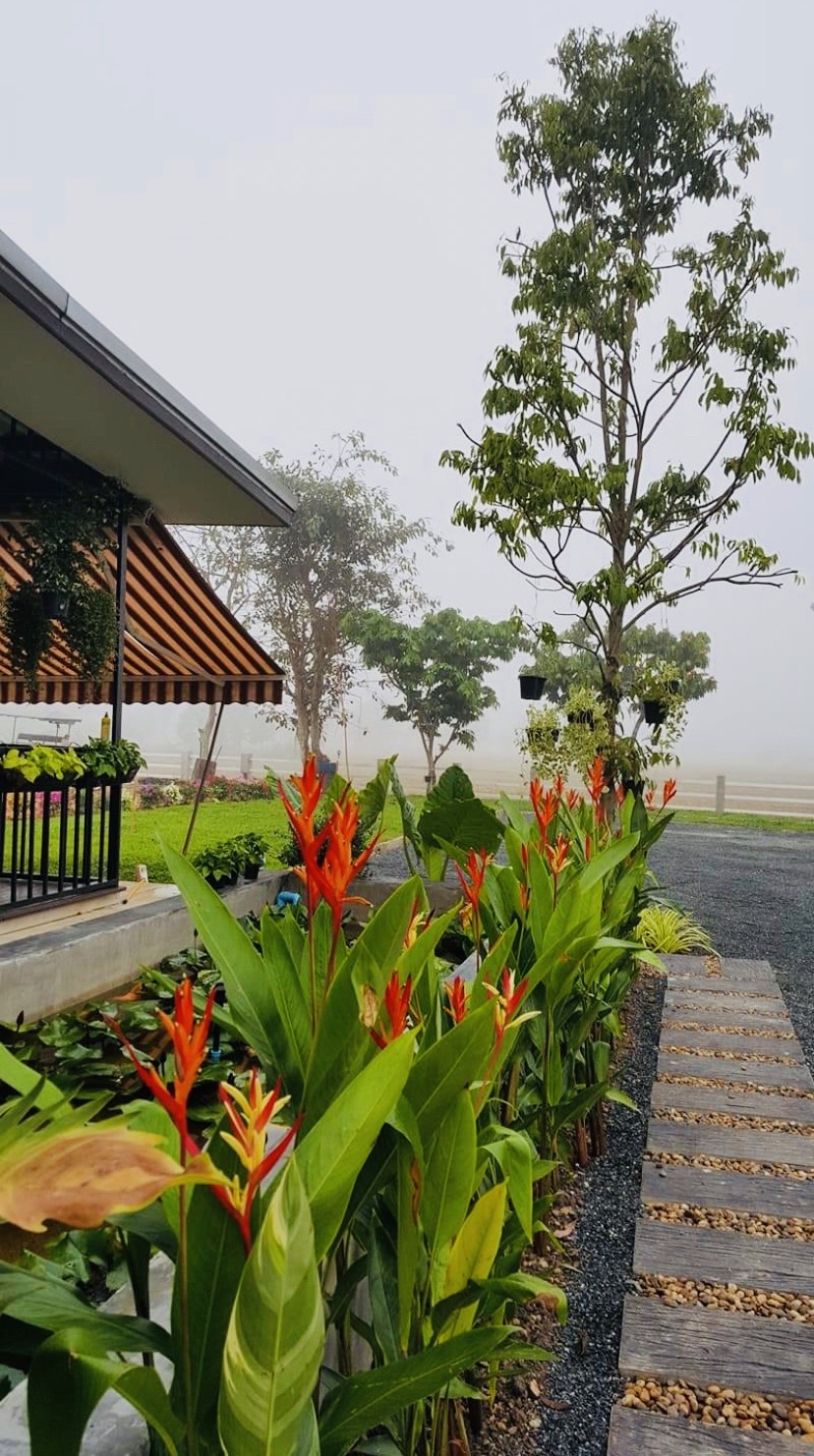 ออกแบบคาเฟ่ทุ่งนา