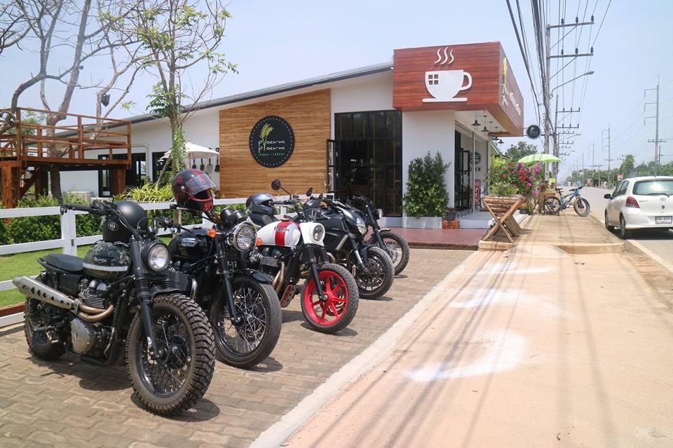 ออกแบบคาเฟ่ทุ่งนา