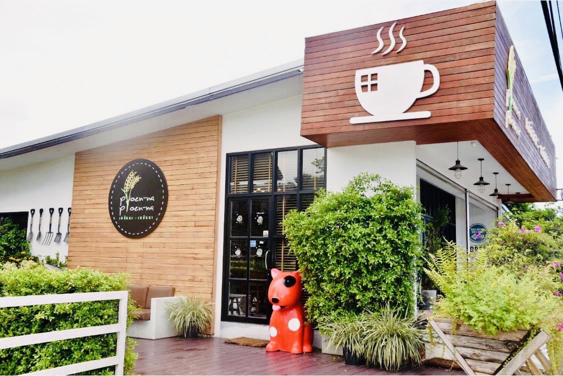 ออกแบบคาเฟ่ทุ่งนา