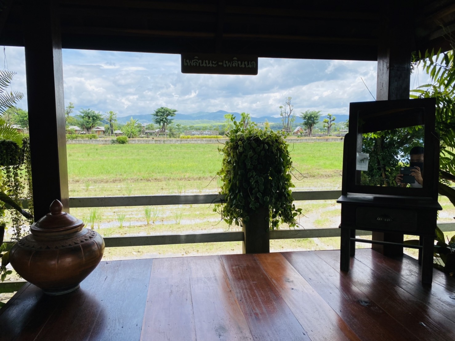 ออกแบบคาเฟ่ทุ่งนา