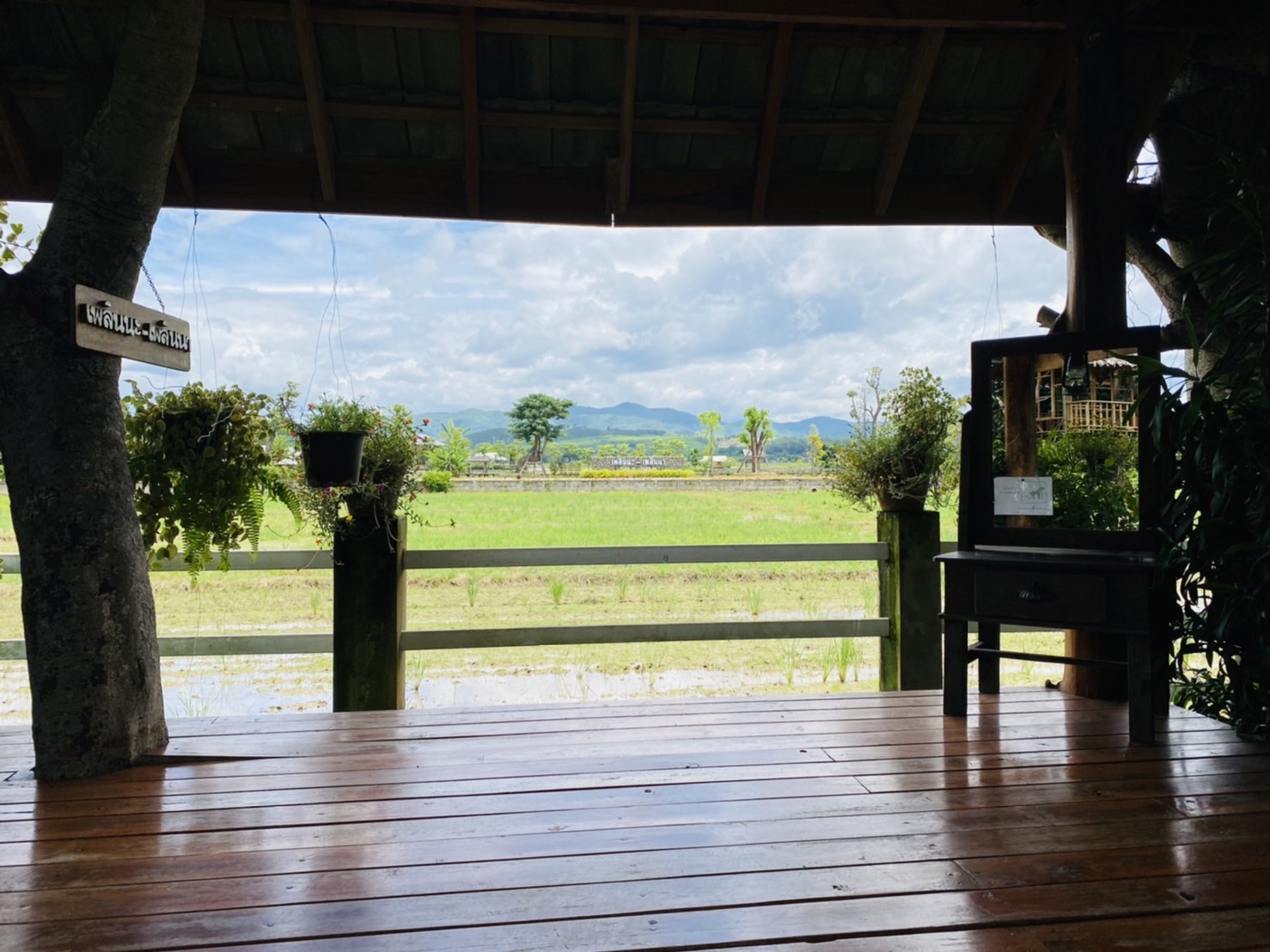 ออกแบบคาเฟ่ทุ่งนา