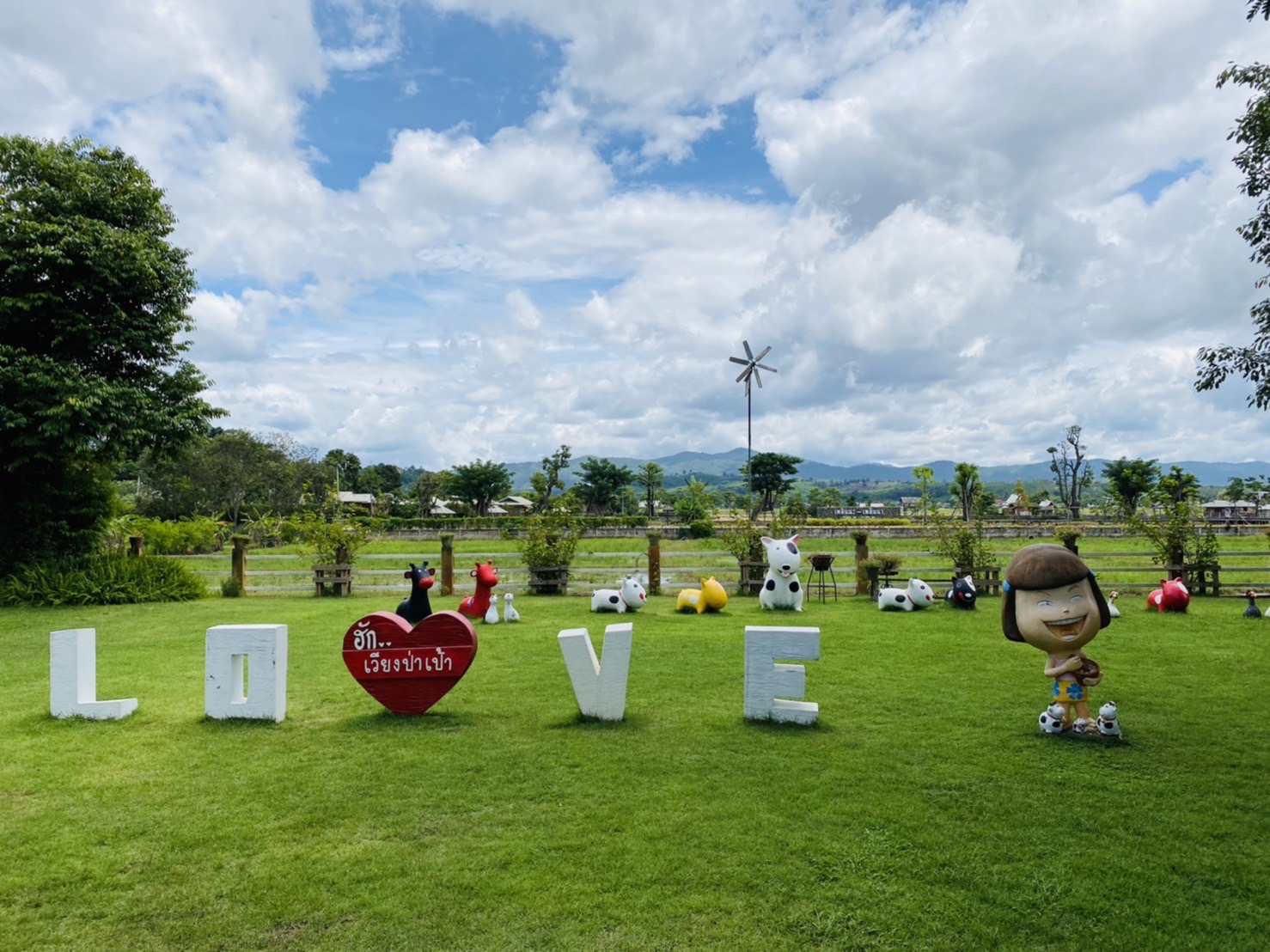 ออกแบบคาเฟ่ทุ่งนา