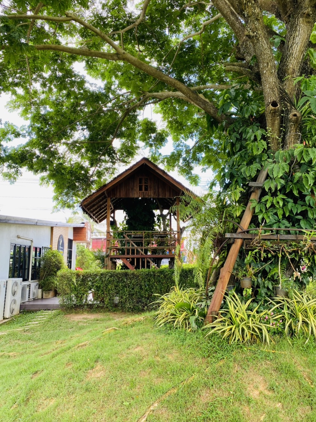 ออกแบบคาเฟ่ทุ่งนา