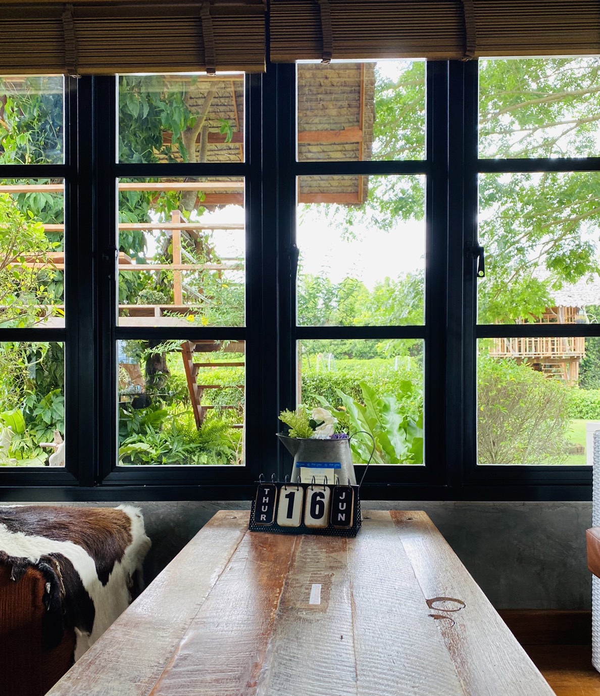 ออกแบบคาเฟ่ทุ่งนา