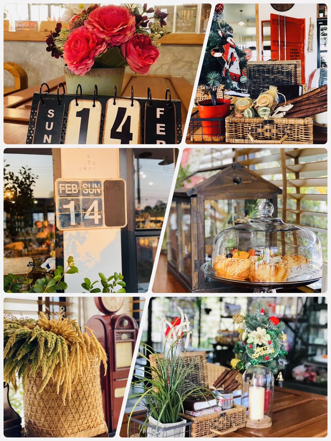 ออกแบบคาเฟ่ทุ่งนา