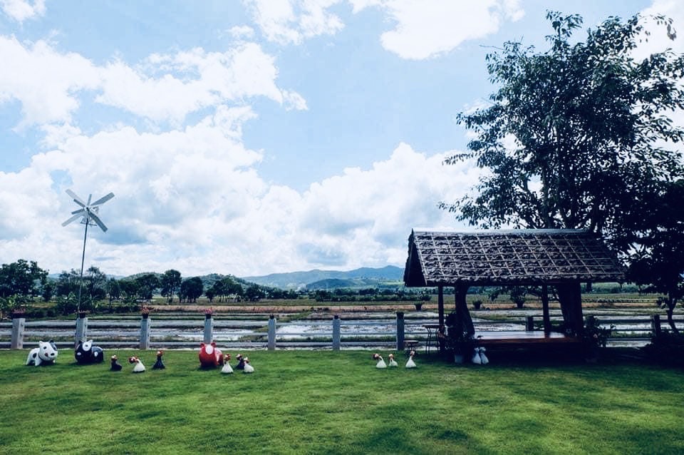 ออกแบบคาเฟ่ทุ่งนา