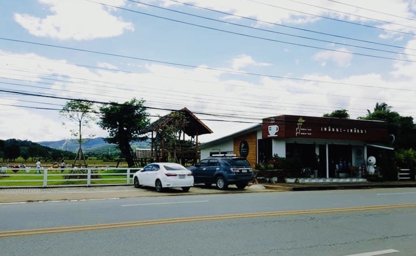 ออกแบบคาเฟ่ทุ่งนา