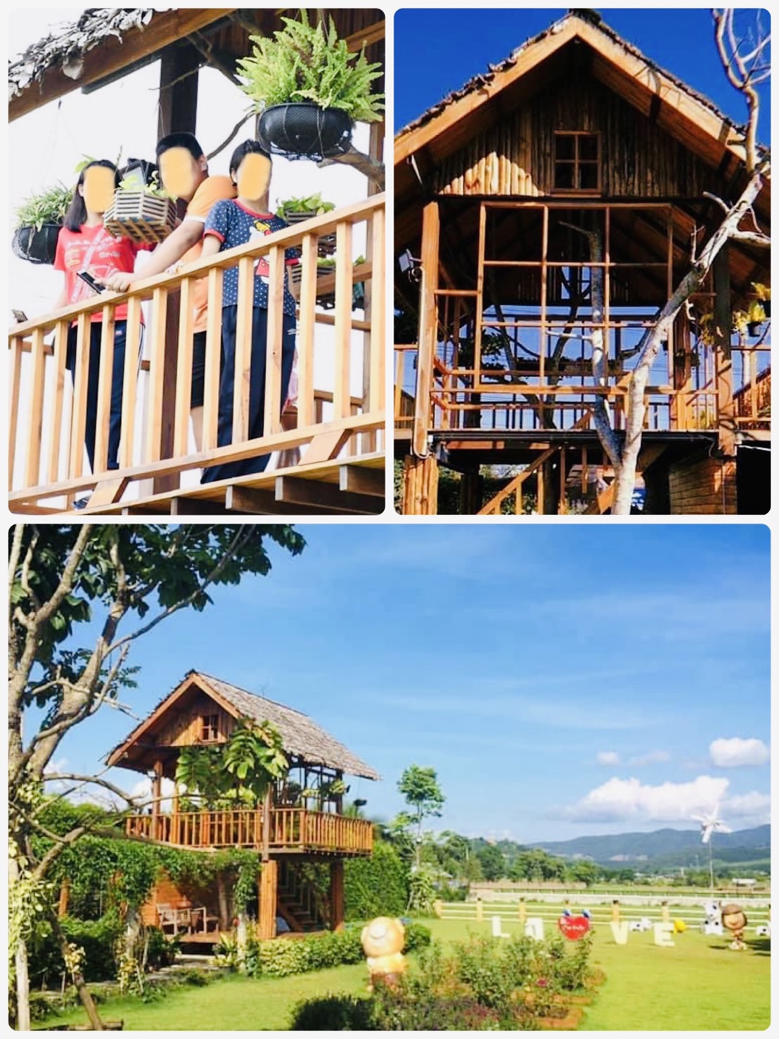 ออกแบบคาเฟ่ทุ่งนา