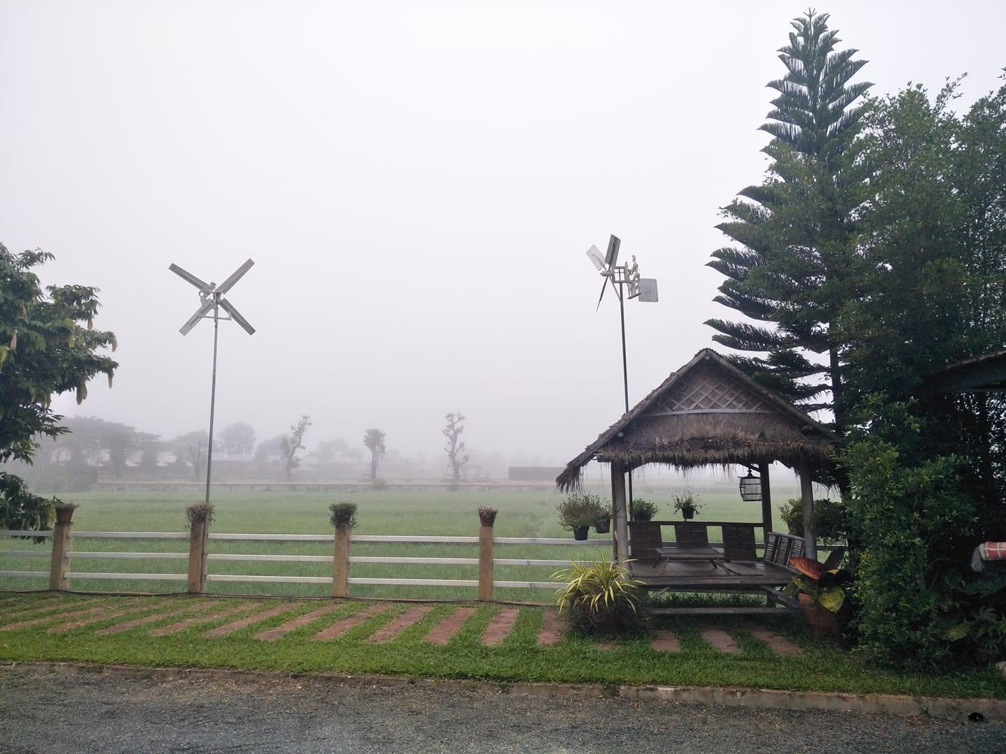 ออกแบบคาเฟ่ทุ่งนา