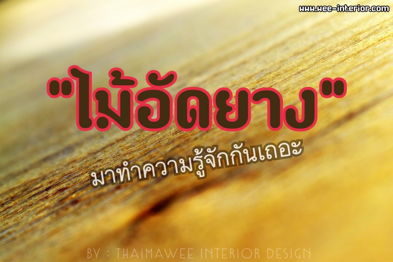 ไม้อัดยาง Rubber Plywood